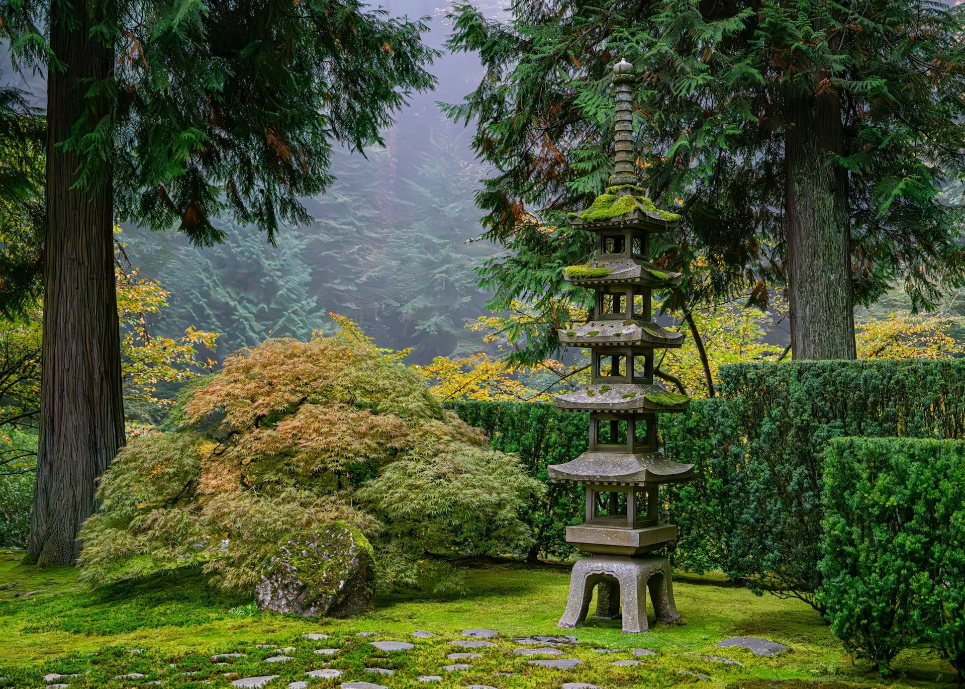 A tranquil longevity retreat
